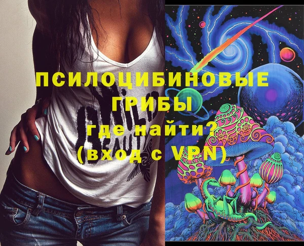 мдпв Коряжма