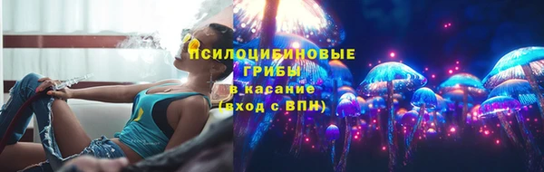мдпв Коряжма