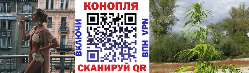 Купить где  Дубна  МАРИХУАНА OG Kush 